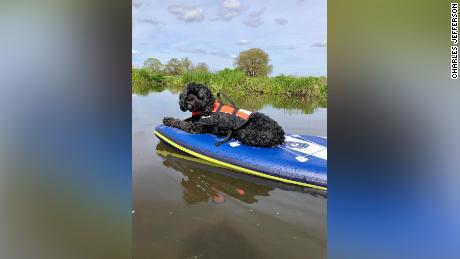 When he&#39;s not collecting lost balls, Marlo enjoys paddleboarding.