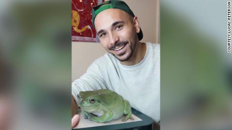 Dumpy, the giant frog that went viral on TikTok, is actually fake -- well, kinda