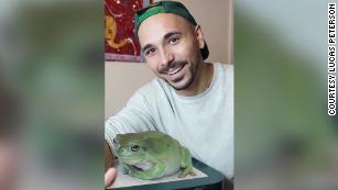 Dumpy, the TikTok-famous giant frog, is fake – well, kinda