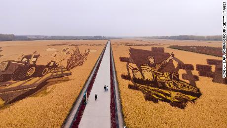 Tourists watch paddy field painting at an agricultural demonstration area during the National Day holiday on October 2, 2022 in Harbin, Heilongjiang Province of China. 