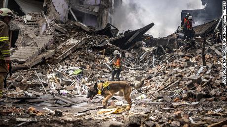 A search and rescue dog is seen during firefighters conduct work in a damaged building after Russian missile attack in Zaporizhzhia, Ukraine on October 10, 2022. 