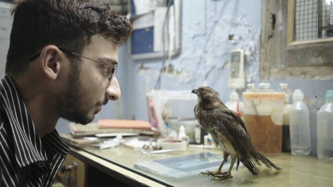 'All That Breathes': Delhi's bird saviors become the subject of a hit documentary