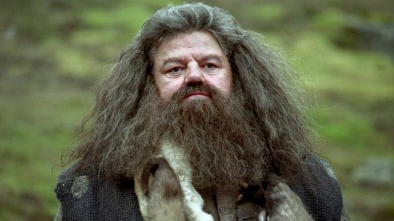 'I'll not be here sadly, but Hagrid will': Robbie Coltrane on Harry Potter legacy