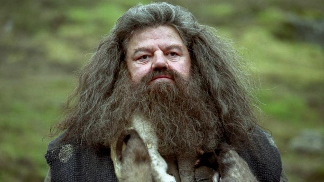 ‘I’ll not be here sadly, but Hagrid will’: Robbie Coltrane on Harry Potter legacy – CNN Video