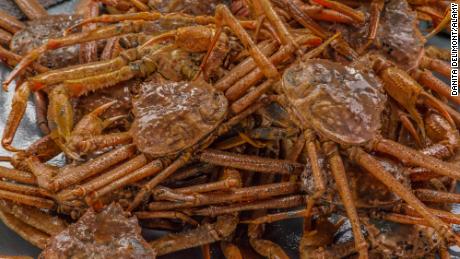 Billions of snow crabs have disappeared from the waters around Alaska. Scientists say overfishing is not the cause 