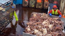 221016111146 alaska snow crab hp video Hear how fishermen are being impacted by the cancellation of snow crab season in Alaska