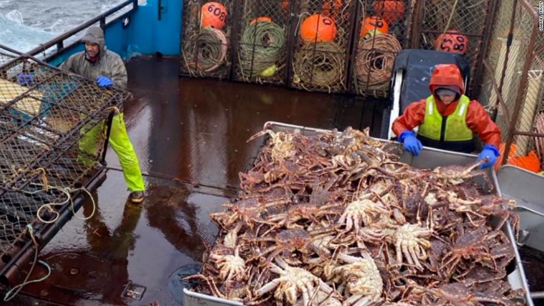 Hear how fishermen are being impacted by the cancellation of snow crab season in Alaska – CNN Video