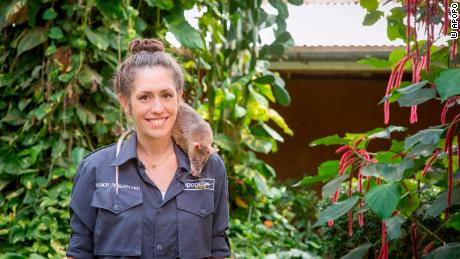 Behavioral research scientist Donna Kean (pictured) says the rats are friendly, sociable, and easy to work with.