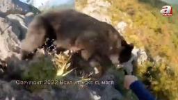 221024084604 bear attack japan hp video Bear attacks mountain climber on edge of a cliff