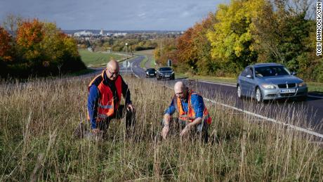 Some see dead space on the side of the road. These groups see a potential haven for wildlife