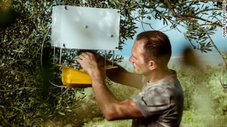 Trapview-EFOS-Automated Trap SCM WING-U-AI-based solution for olives insect monitoring and forecasting