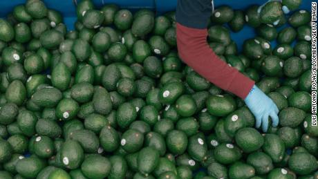 Avocados from Mexico account for over 90% of the supply in the US.