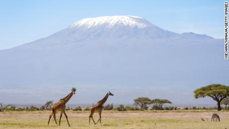 Glaciers on Mount Kilimanjaro in Tanzania are on track to disappear within the next few decades, UNESCO reports.