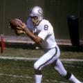 ray guy PWL RESTRICTED