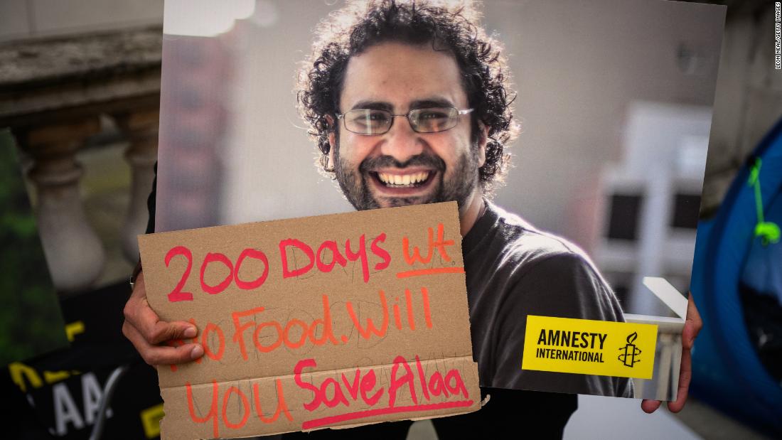 Hunger strike of jailed Egyptian-British activist may dominate the COP27 summit, Amnesty chief warns