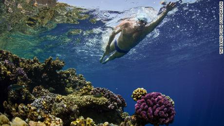 Pugh completed his swim across the Red Sea -- home to some of the world&#39;s most biodiverse coral reefs -- in 16 days.