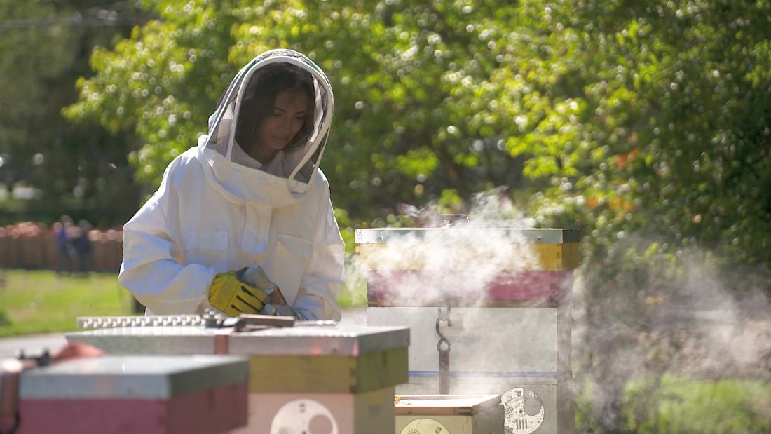 The Secrets of Beekeeping - Slow Food International