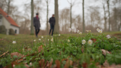Watch a clip from the documentary: Visiting a &#39;cemetery of the brainless&#39; in Denmark