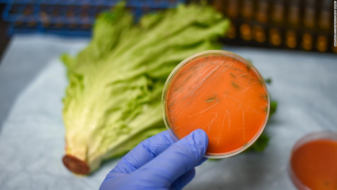 Listeria outbreak: How to protect yourself from the deadly foodborne bacteria