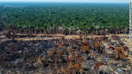As scientists warn Brazil&#39;s rainforest is nearing a point of irreversible decline, Lula makes ambitious deforestation pledge