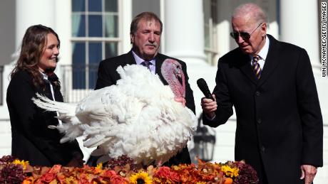 Biden pardons Thanksgiving turkeys: &#39;No ballot stuffing, no fowl play&#39;