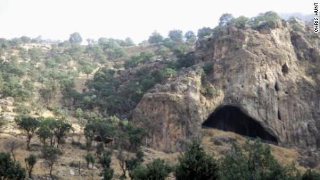 Neanderthals cooked meals with pulses 70,000 years ago