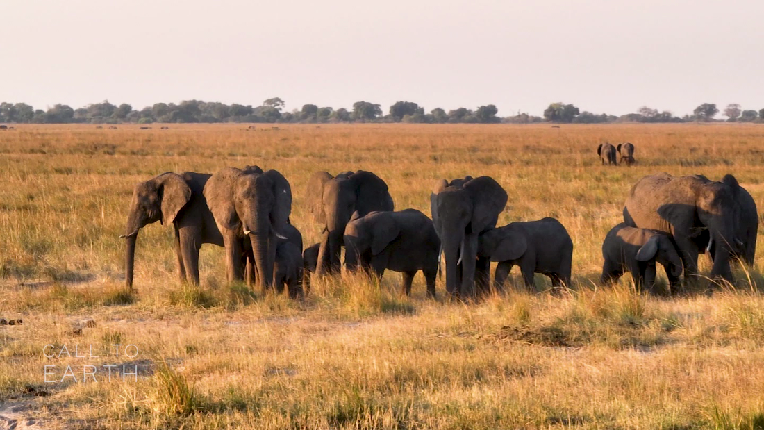 Going green in one of Africa’s top safari destinations – CNN Video