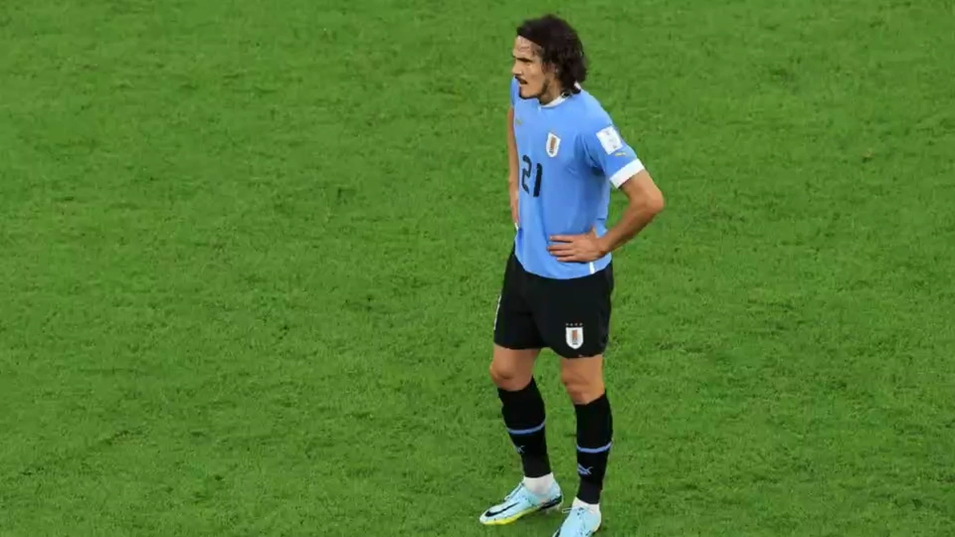 Uruguay debutó con empate: el resumen y las claves del Uruguay - Corea del Sur del Mundial de Qatar - CNN Video