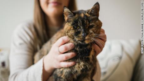 Flossie, the world&#39;s oldest living cat, is nearly 27 years old