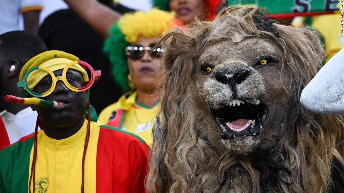 Senegal fans attend the match against Qatar. Senegal&#39;s football team is nicknamed the Lions of Teranga.
