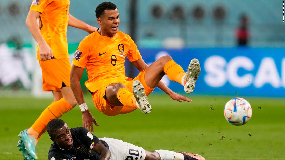 The Netherlands&#39; Cody Gakpo is challenged by Ecuador&#39;s Jhegson Mendez, bottom, during their teams&#39; 1-1 draw on November 25. Gakpo scored in the sixth minute for the Dutch.