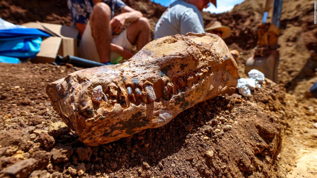 Amateur fossil hunters find 19-foot-tall, 100 million-year-old skeleton