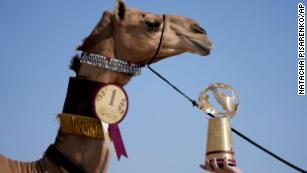 A member of the AlKuwari family shows the trophy after winning the first prize at the Mzayen World Cup, a pageant held in the Qatari desert some 15 miles away from Doha and soccer&#39;s World Cup, in Ash- Shahaniyah, Qatar, Friday, Dec. 2, 2022. (AP Photo/Natacha Pisarenko)