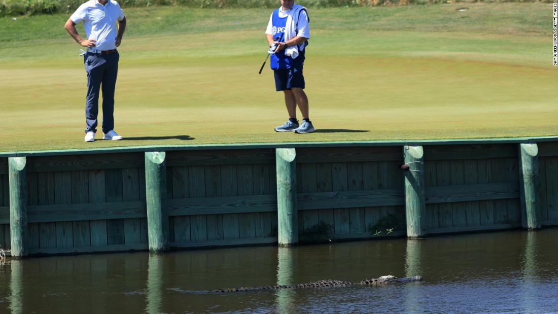 At &lt;strong&gt;Kiawah Island&#39;s Ocean Course&lt;/strong&gt;, alligators are as welcome as golfers. The South Carolina resort encourages a peaceful co-existence between players and the reptiles, who form part of a vibrant eco-system that includes dolphins and bobcats.