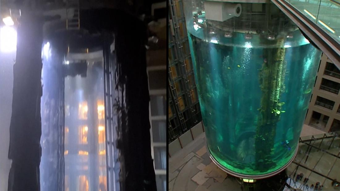Video: Berlin aquarium housing 1,500 fish bursts – CNN Video