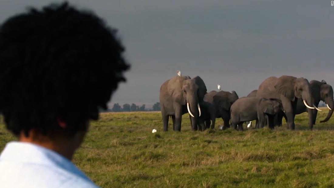 Wildlife films in Africa should be made by Africans