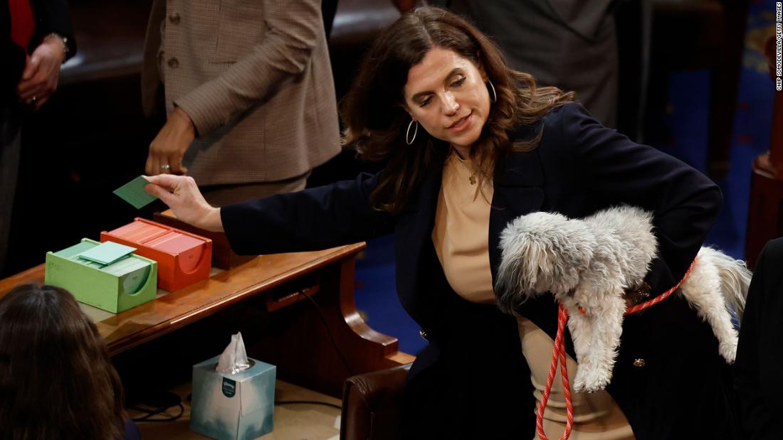 US Rep. Nancy Mace, a Democrat from New York, holds a dog as she casts her vote on a motion to adjourn on Thursday.