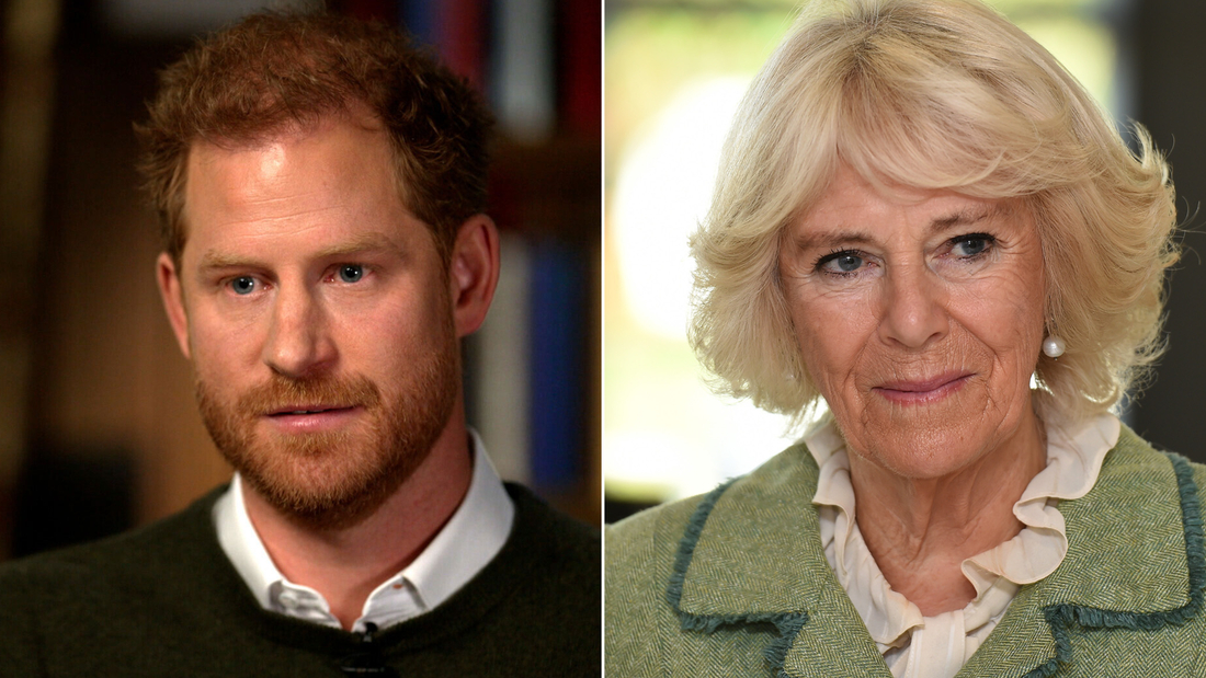 CNN correspondent breaks down Prince Harry's latest accusation