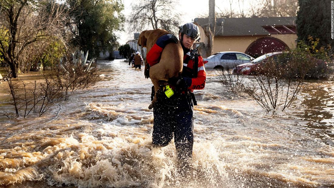 A San Diego firefighter rescues a dog from a flooded home in Merced on Tuesday, January 10.