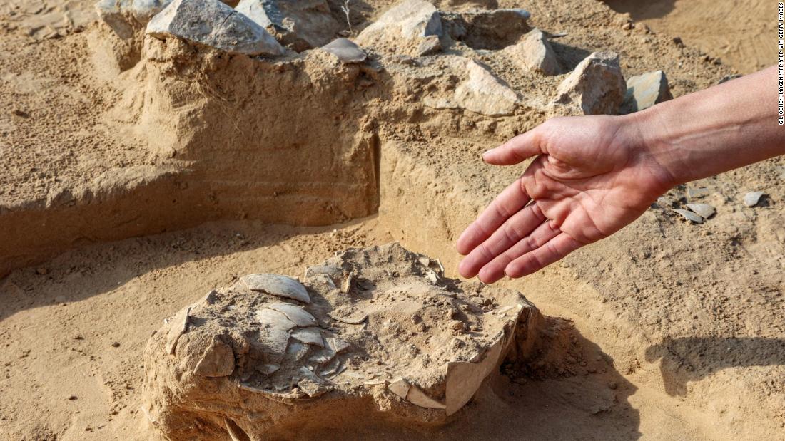 Video: Prehistoric ostrich eggs discovered in Israel – CNN Video