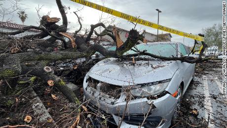 Damaged cars sit beneath a fallen tree in Woodland Hills, California.