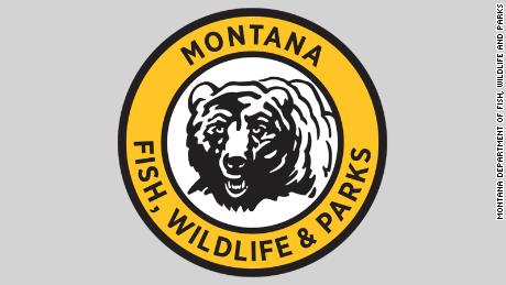 Grizzly bears test positive for bird flu in Montana, officials say