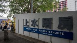 230120231610 01 sheung shui slaughterhouse 051319 file restricted hp video Pig kills butcher at slaughterhouse in Hong Kong