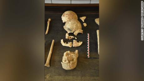 Skulls in the second haul were found to be in several parts.