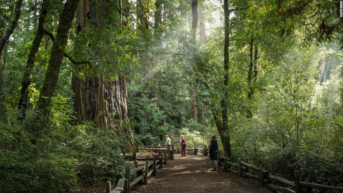 Some of California's beloved, storm-struck parks and forests remain closed 