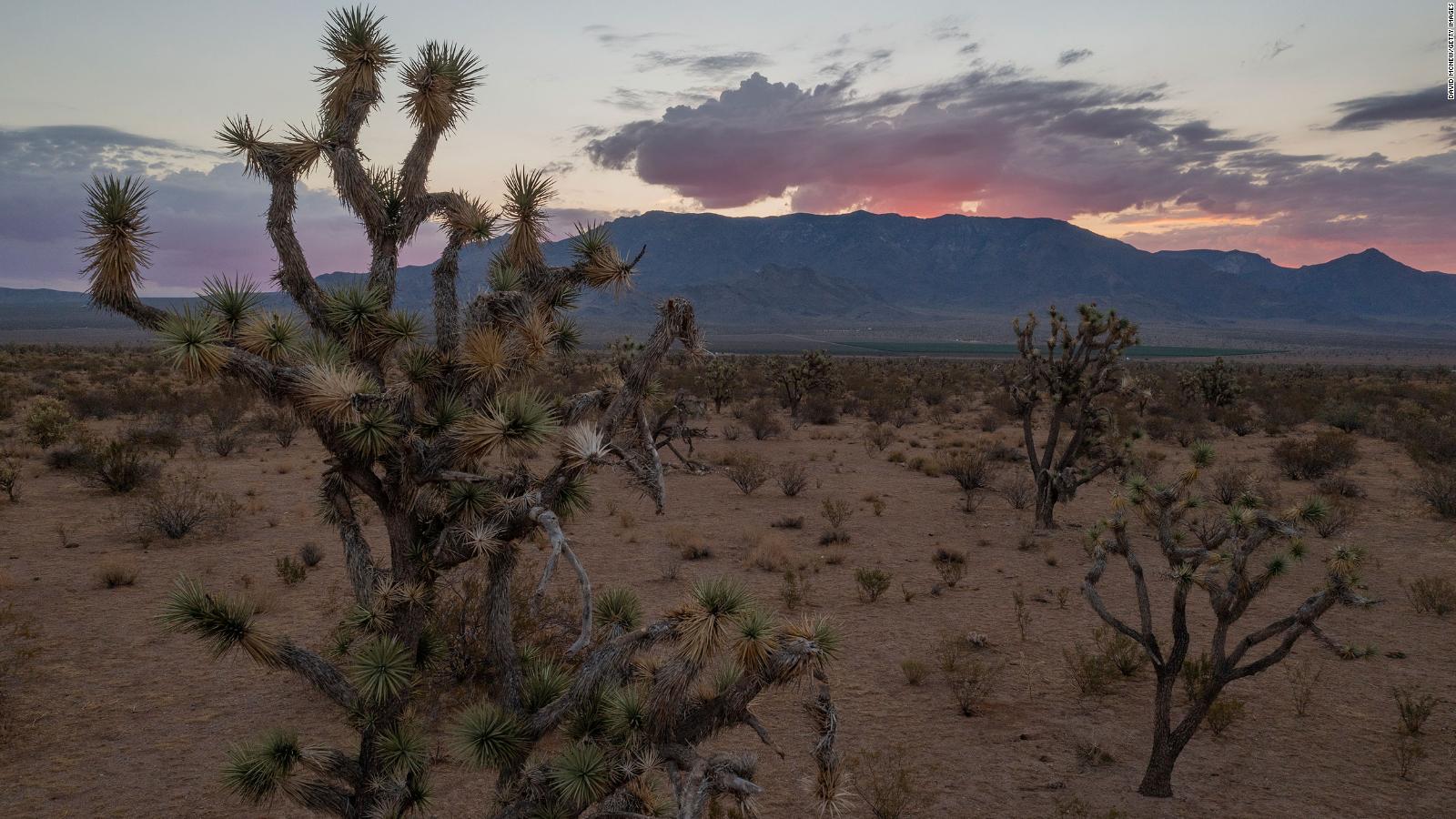 In deep-red corner of Arizona, threat of losing water starts to ...