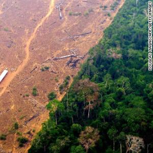 Humans and extreme drought damaging Amazon rainforest much more than thought, study suggests