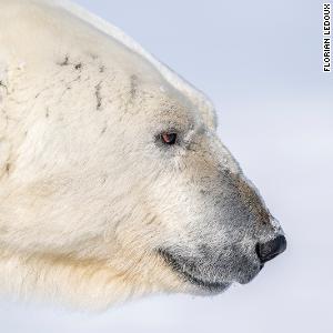 Facing the extremes as an Arctic photographer