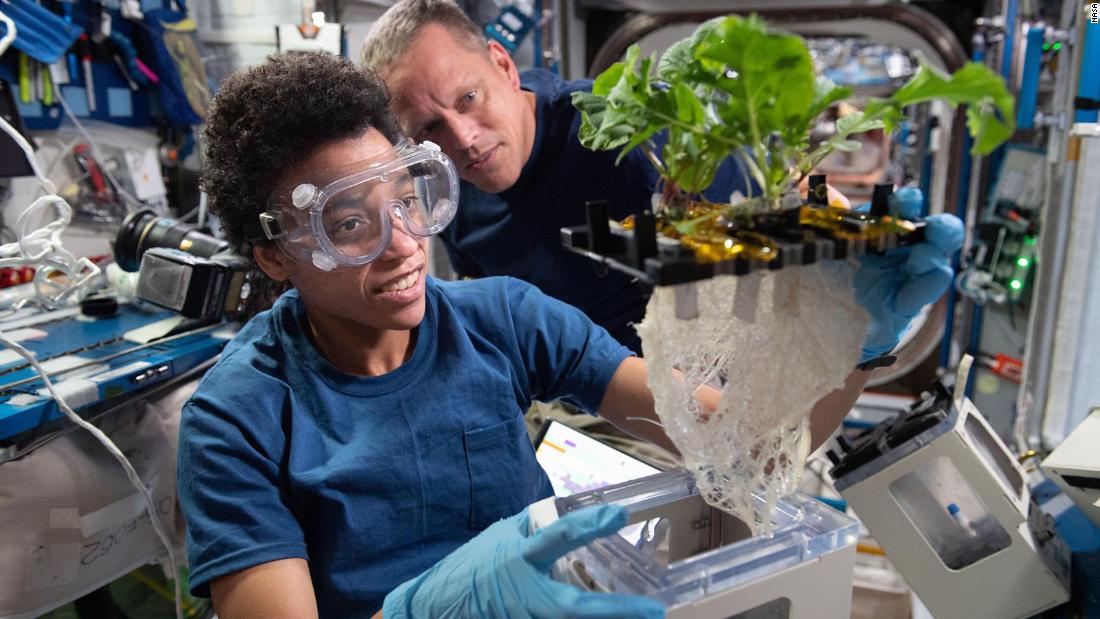 Watkins and fellow astronaut Bob Hines work in June on the XROOTS space botany investigation, using the space station&#39;s Veggie facility to test soilless methods to grow plants.