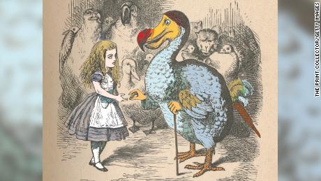 The dodo has been a source of fascination since it was discovered. It appears as a character in Lewis Carroll&#39;s  Alice in Wonderland as illustrated by John Tenniel.